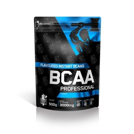 German Forge BCAA Professional 500 g. peach skonis